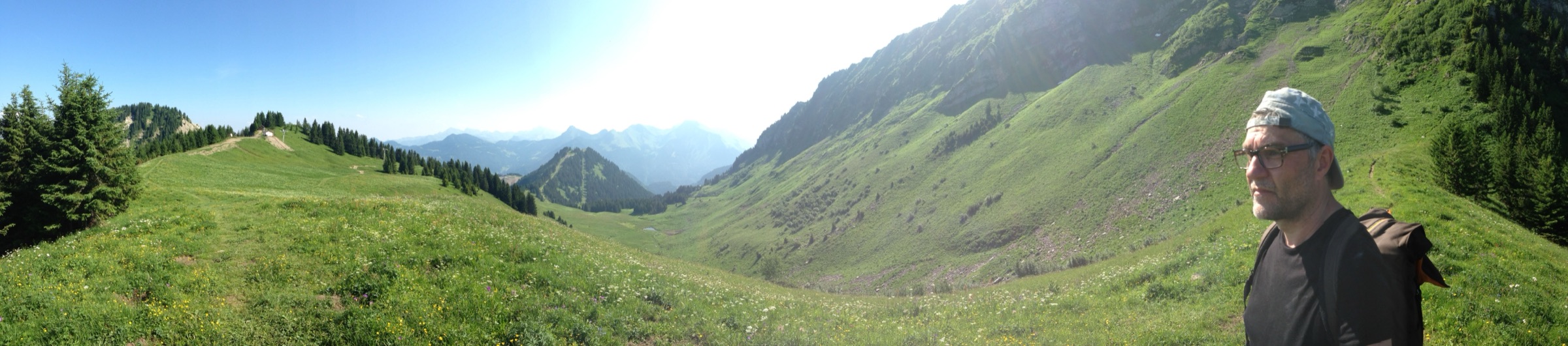 Panorama d’un alpage en été, avec des montagnes au fond